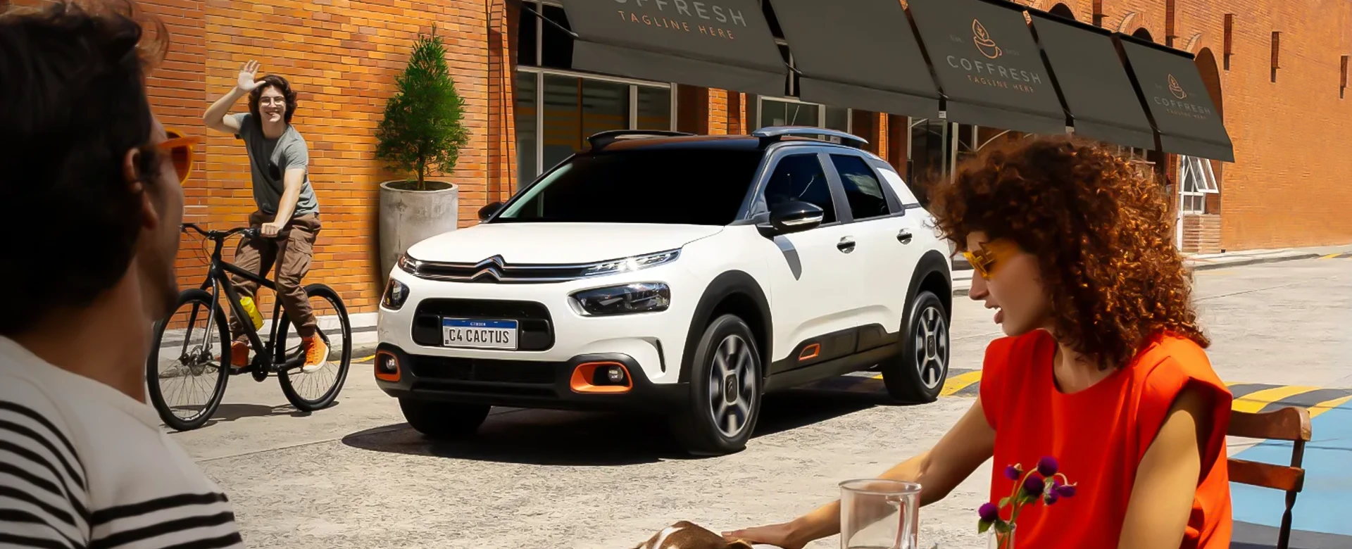 C4 Cactus